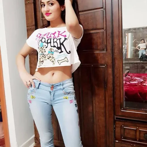 model Call Girls in Bilaspur