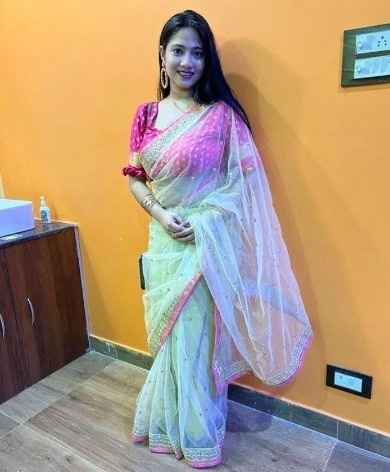 Bilaspur Call Girls service